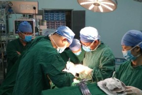 开局一张吉巴体验卡我带领男篮称霸奥运-开云综合平台